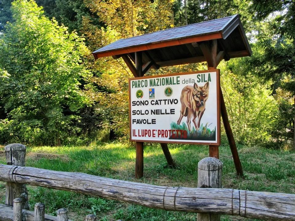 B&B La Rosa Dei Venti Acri Luaran gambar